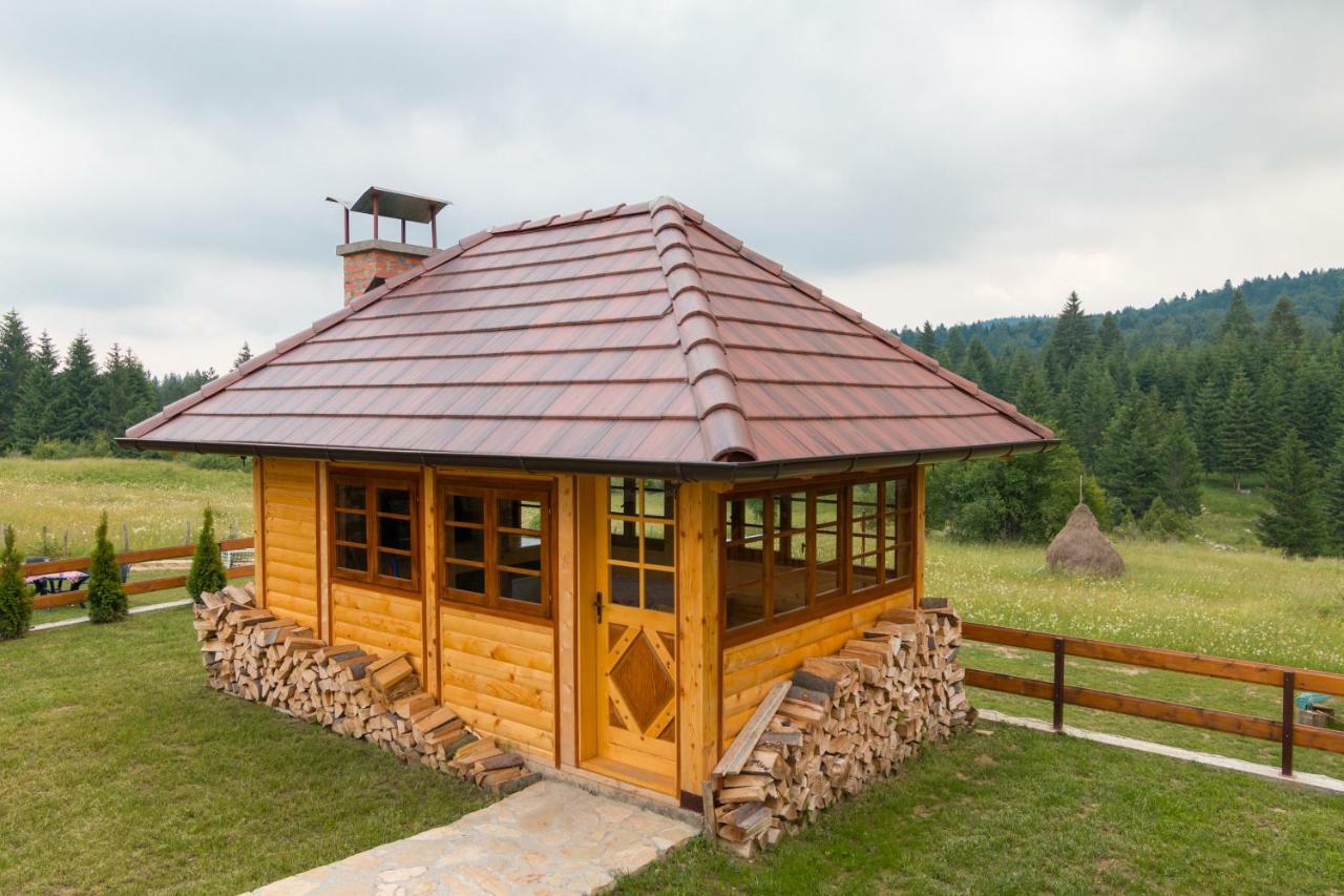Villa Mountain House Popovic Tara Bajina Basta Exterior foto